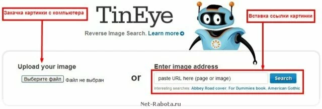 Проверка уникальности картинок или поиск изображений на основе их содержимого - сервис tineye